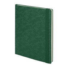 Бизнес-блокнот Tabby Biggy, гибкая обложка, в клетку, зеленый Бизнес-блокнот Tabby Biggy, гибкая обложка, в клетку, зеленый