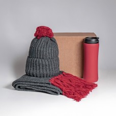 Набор подарочный COLD NIGHT: шарф и шапка, термокружка, красный